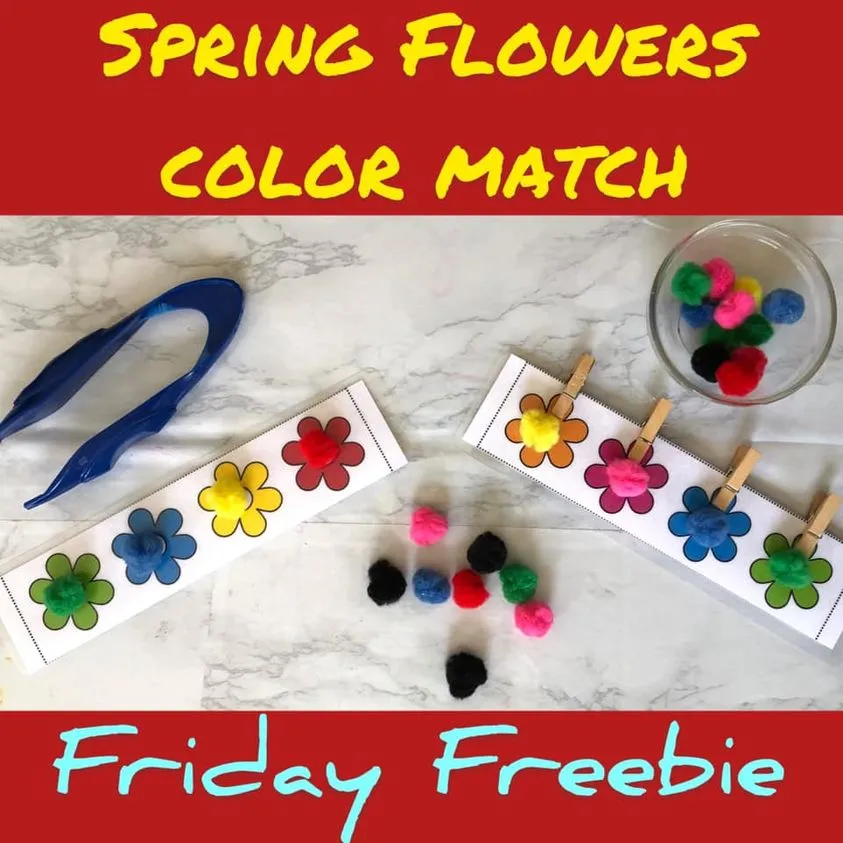 Spring Flower Color Match - Pom Pom Activity Printable