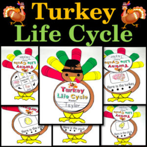 Life Cycle of a Turkey Craft Bundle, Lifecycle Crown Hat, Necklace ...