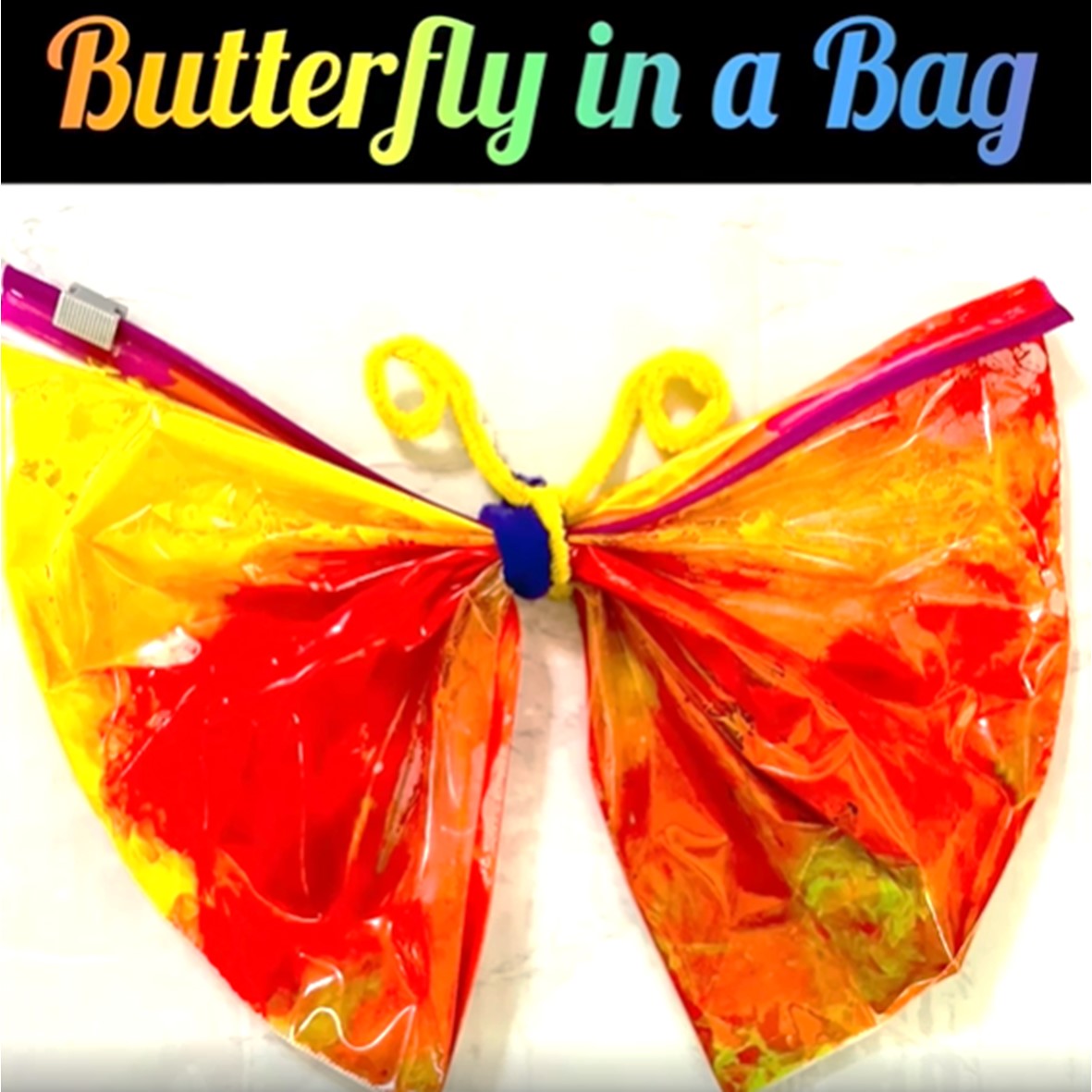 Butterfly in a bag