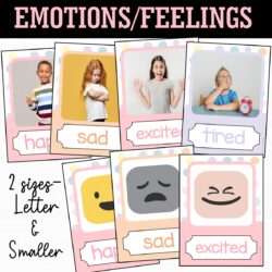 PASTEL Emotions/feelings posters